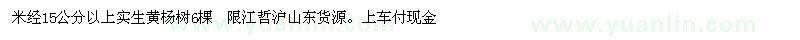 求購瓜子黃楊