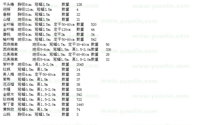 求購千頭椿、泡桐、垂柳、山楂等苗木