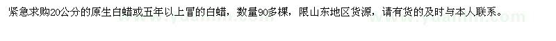 求購(gòu)20公分原生白蠟或五年以上冒的白蠟90多棵