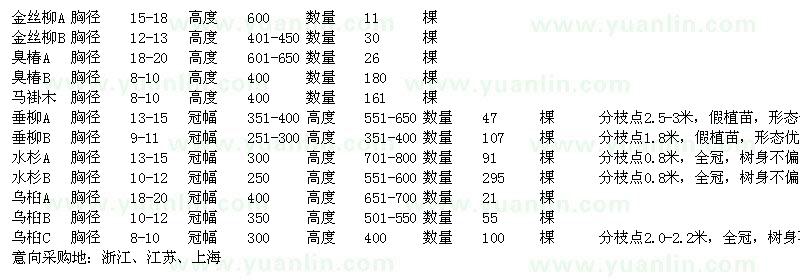 求購(gòu)金絲柳、臭椿、馬褂木、垂柳等苗木