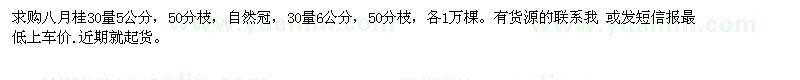 求購5公分、6公分的八月桂各1萬棵