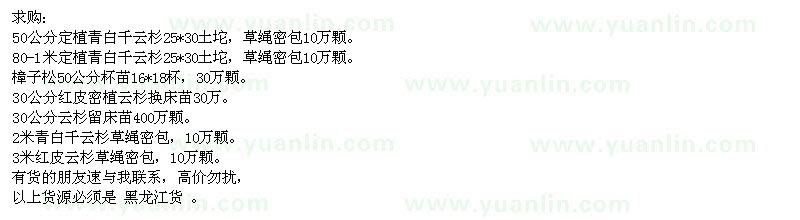 求購青白千云杉、樟子松