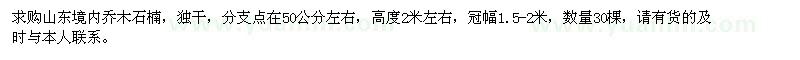 求購高度2米左右石楠30棵