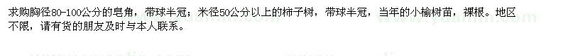 求購(gòu)皂角、柿子樹、小榆樹