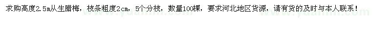 求購高度2.5m從生臘梅100棵