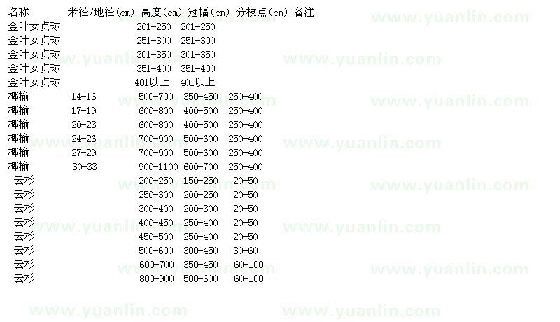 求購(gòu)金葉女貞球、榔榆、云杉