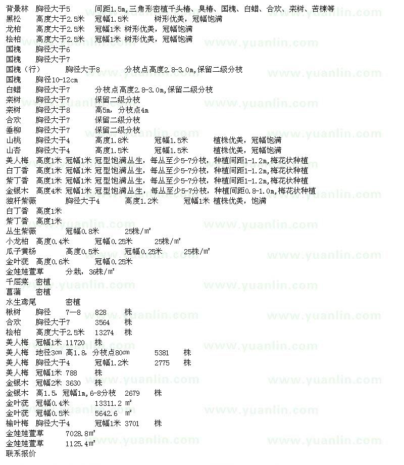 求購黑松、龍柏、國槐