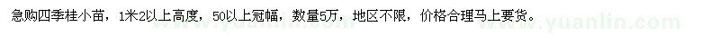 求購高度1.2米以上四季桂小苗