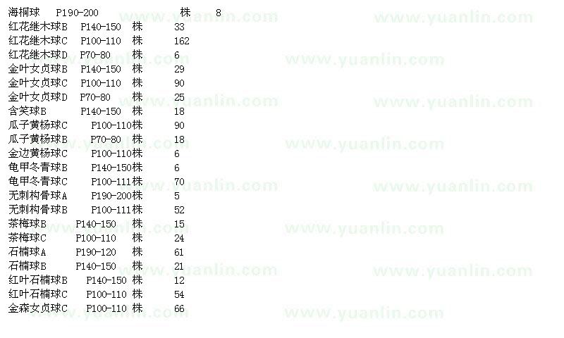 求購海桐球、紅花繼木球、金葉女貞球、瓜子黃楊球等苗木