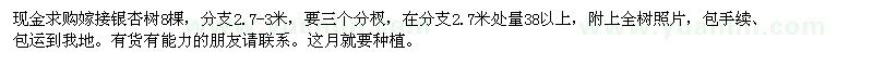求購嫁接銀杏樹8棵