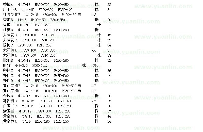 求購香樟、廣玉蘭、香泡、香櫞等苗木