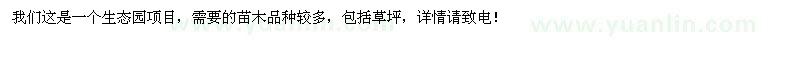 求購百慕大天堂草皮，沙培果嶺草草皮，櫸樹，香樟雪松銀杏等