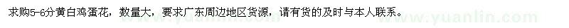 求購5-6分黃白雞蛋花