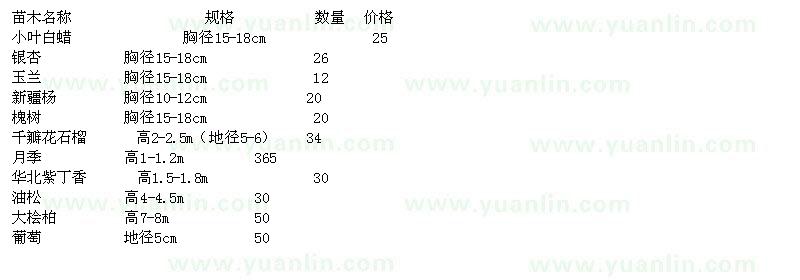 求購小葉白蠟、銀杏、玉蘭、新疆楊、槐樹等苗木