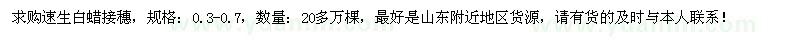 求購0.3-0.7速生白蠟接穗20多萬棵