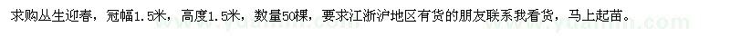 求購叢生迎春50棵