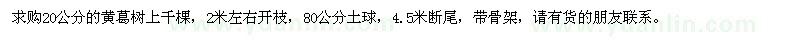 求購(gòu)20公分黃葛樹(shù)