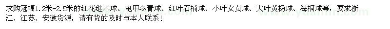 求購大葉黃楊球、紅花繼木球、龜甲冬青球等苗木
