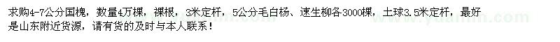 求購(gòu)國(guó)槐、毛白楊、速生柳