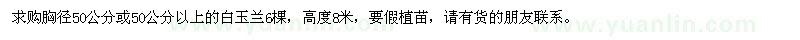 求購(gòu)白玉蘭6棵