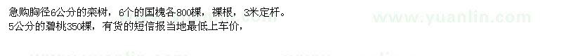 求購(gòu)胸徑6公分的欒樹，6公分的國(guó)槐，5公分的碧桃