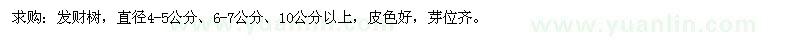 求購發(fā)財(cái)樹
