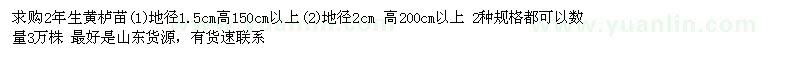 求購2年生黃櫨3萬