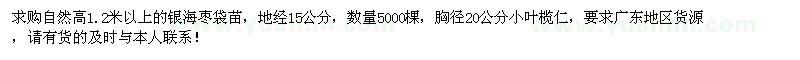 求購1.2米以上的銀海棗5000棵