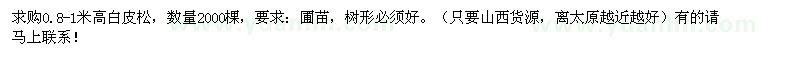 求購0.8-1米高白皮松2000棵    