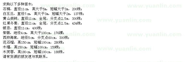 求購(gòu)石楠、白玉蘭、黃山欒樹(shù)、銀杏、紫薇等苗木