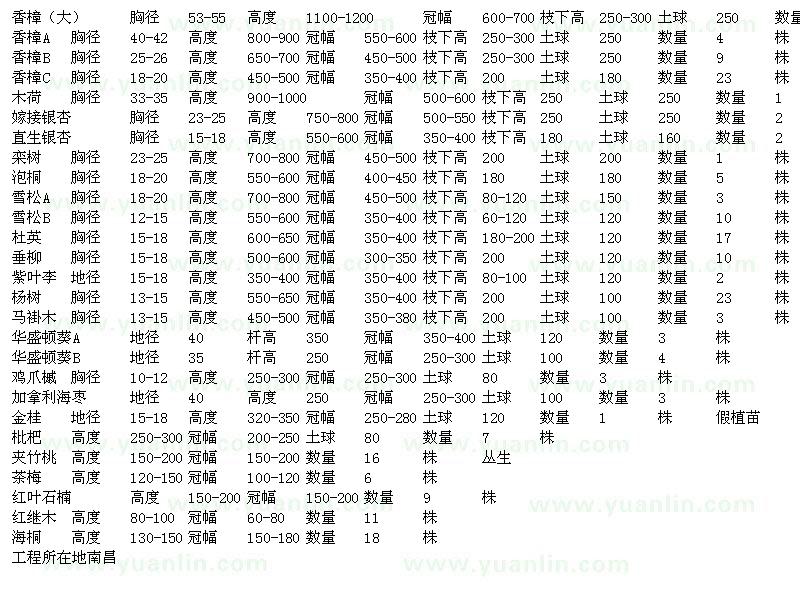 求購香樟、木荷、銀杏、欒樹、雪松等苗木求購