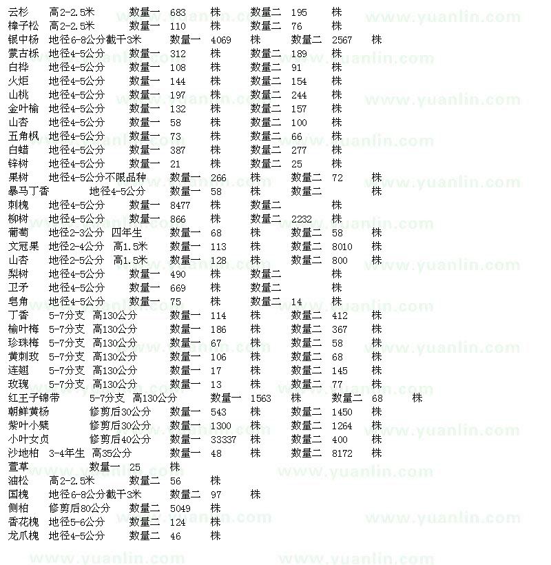 求購云杉、樟子松、銀中楊、白樺、火炬