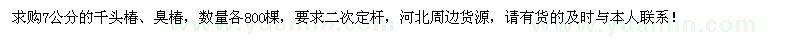求購(gòu)7公分的千頭椿、臭椿各800棵