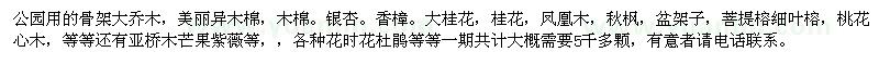求購骨架大喬木、美麗異木棉、木棉、銀杏、香樟等苗木