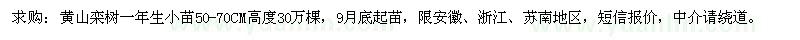 求購(gòu)黃山欒樹一年生50-70CM高度30萬(wàn)棵