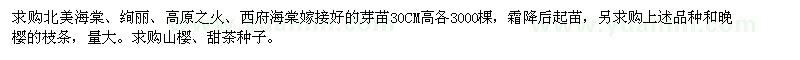 求購(gòu)北美海棠、絢麗、高原之火、西府海棠嫁接好的芽苗30CM高各3000