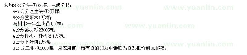 求購法桐、速生法桐、重陽木、馬褂木、落羽杉、櫸樹、樸樹、七葉樹、三角楓