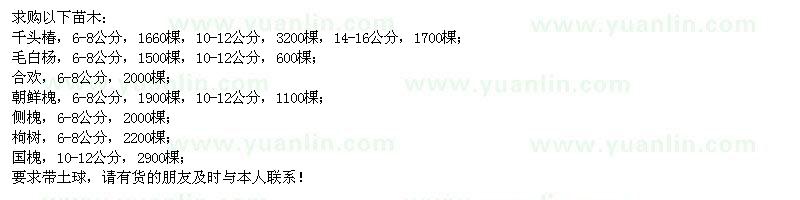 求購千頭椿、毛白楊、合歡、朝鮮槐、側槐、枸樹、國槐