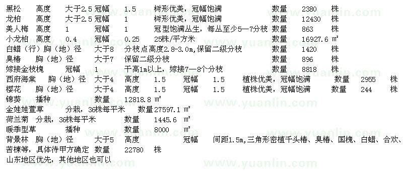 求購黑松、龍柏、美人梅、小龍柏、白蠟、臭椿等苗木