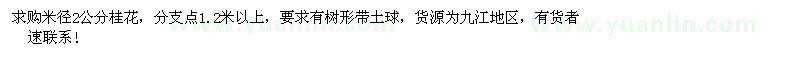 求購桂花