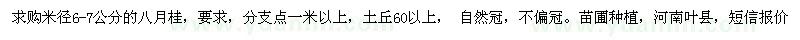 求購(gòu)米徑6-7公分的八月桂 