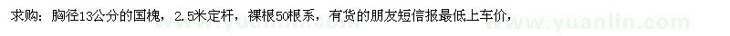 求購(gòu)胸徑13公分的國(guó)槐
