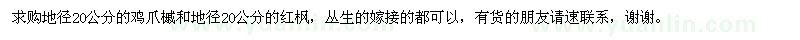 求購雞爪槭,紅楓