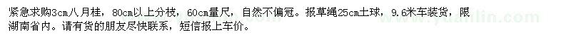 求購3cm八月桂