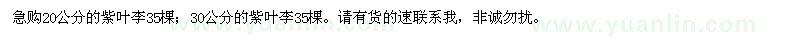求購20公分的紫葉李
