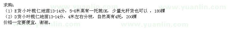 求購(gòu)小葉欖仁地苗
