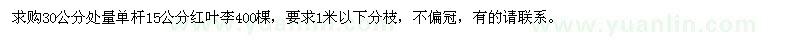 求購15公分紅葉李