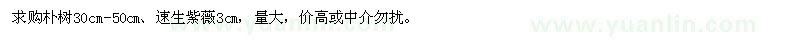 求購樸樹、速生紫薇