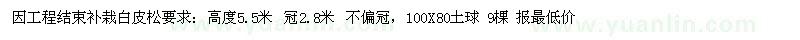求購5.5米以上白皮松 