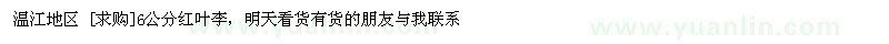 求購6公分紅葉李